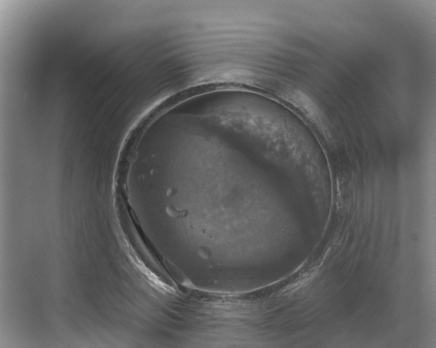 X0000068840780200605081238