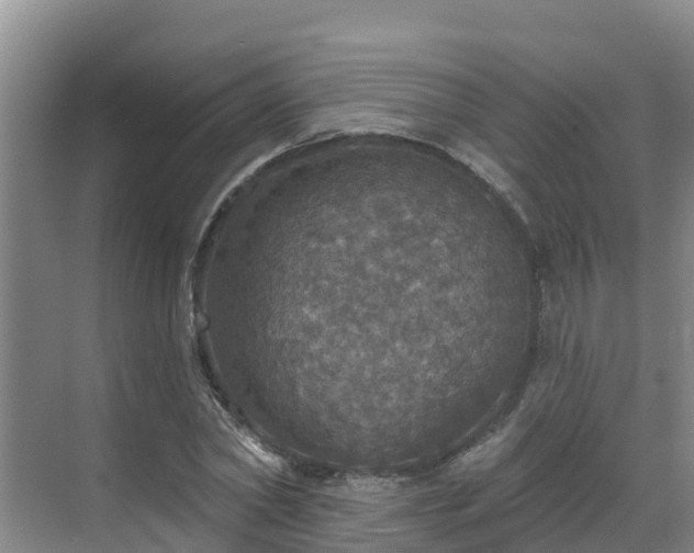 X0000068840782200605081238