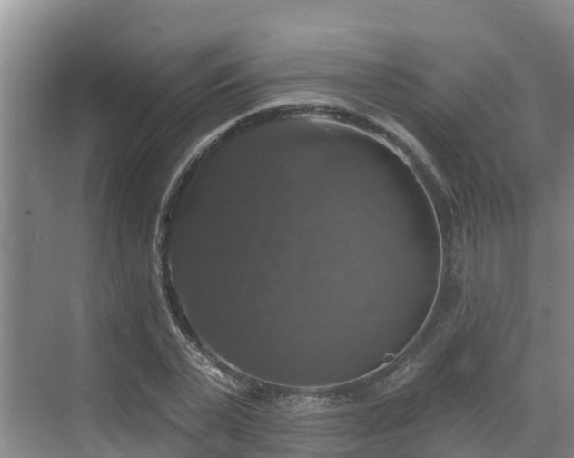 X0000068840783200605081238