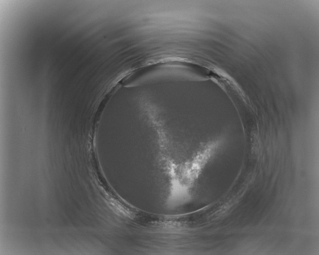 X0000068840785200605081238