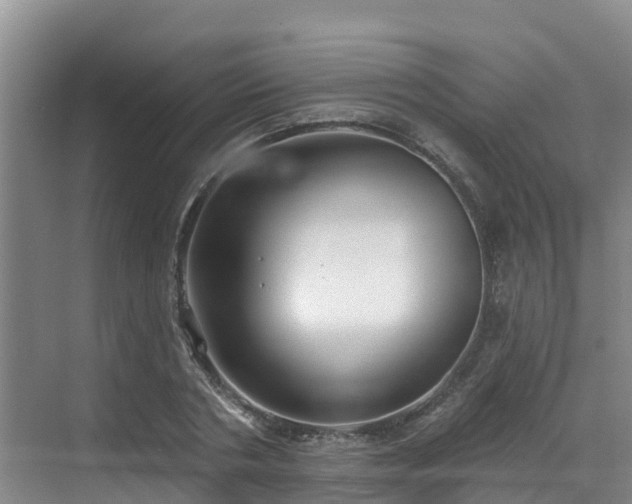 X0000068840786200605081238