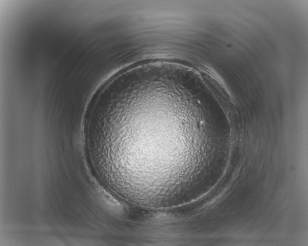 X0000068840787200605081238