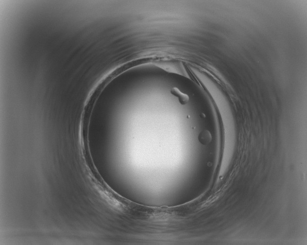 X0000068840788200605081238