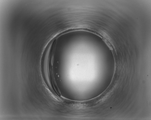 X0000068840789200605081238