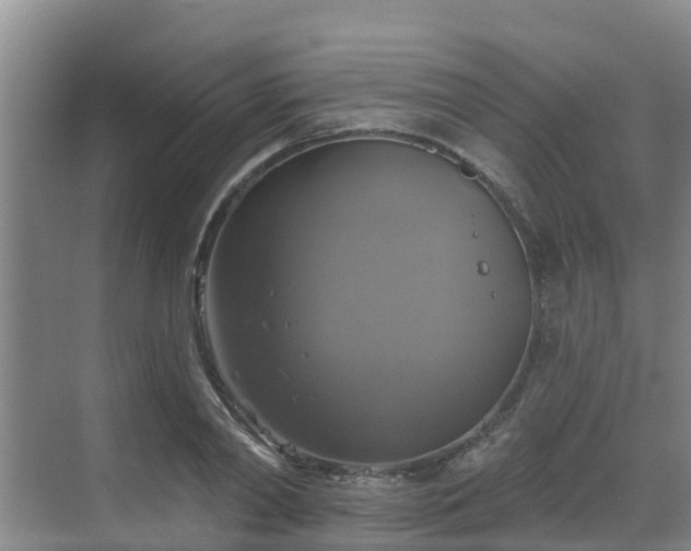 X0000068840790200605081238