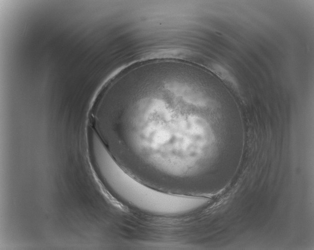 X0000068840792200605081238