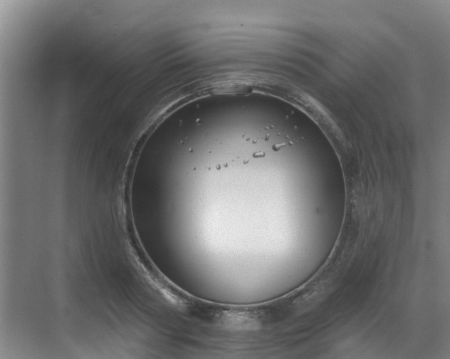 X0000068840794200605081238