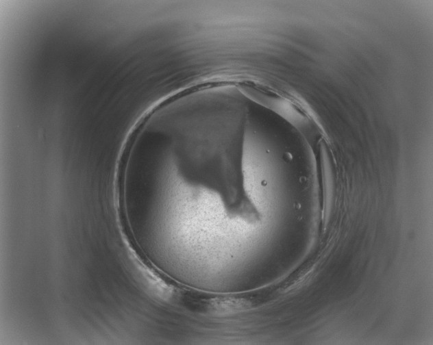 X0000068840795200605081238