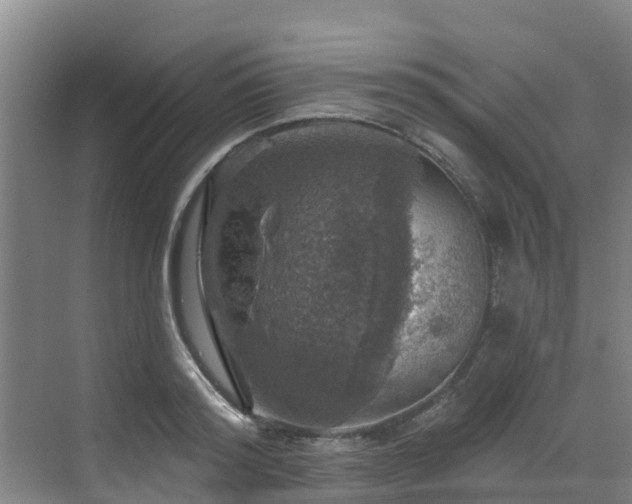 X0000068840796200605081238