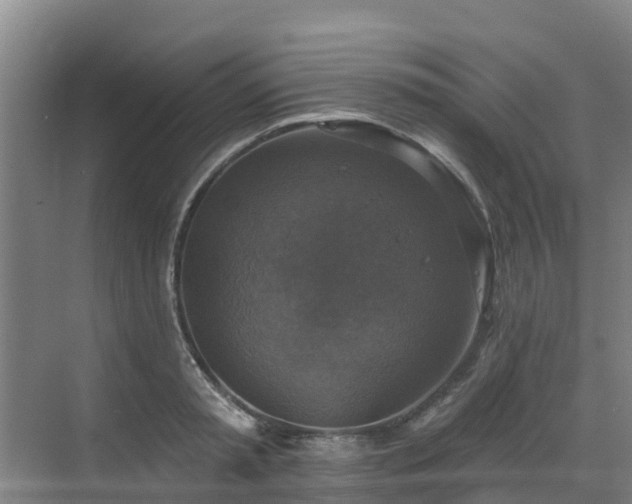 X0000068840797200605081238