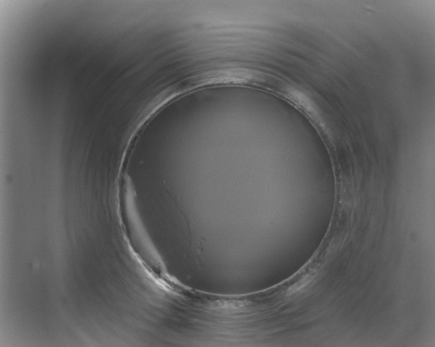 X0000068840802200605081238