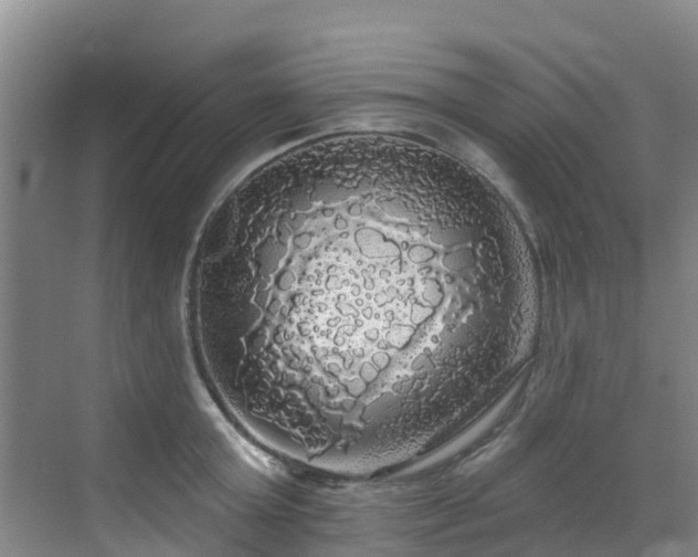 X0000068840803200605081238