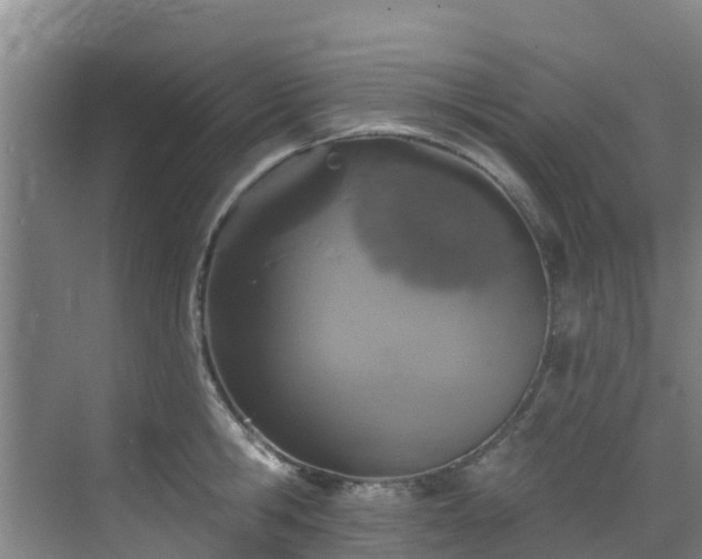 X0000068840806200605081238