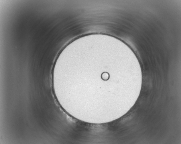 X0000068840807200605081238