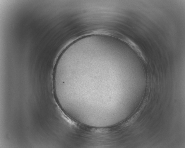 X0000068840808200605081238