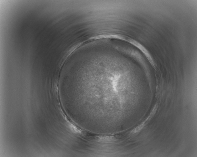 X0000068840809200605081238