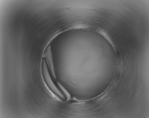 X0000068840810200605081238