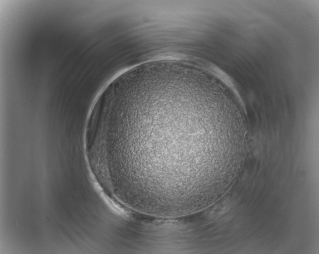 X0000068840811200605081238