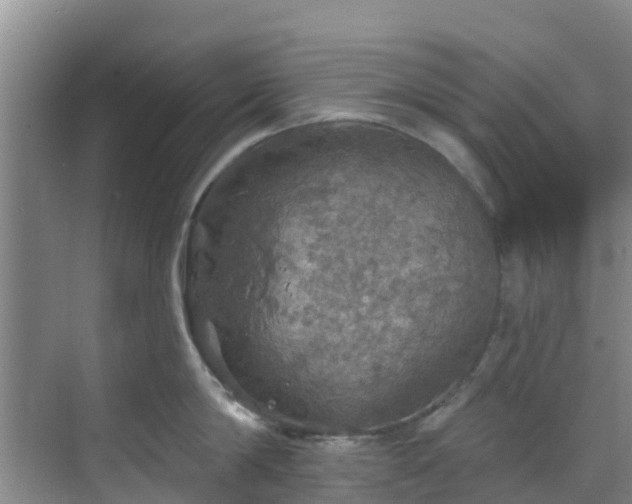 X0000068840814200605081237