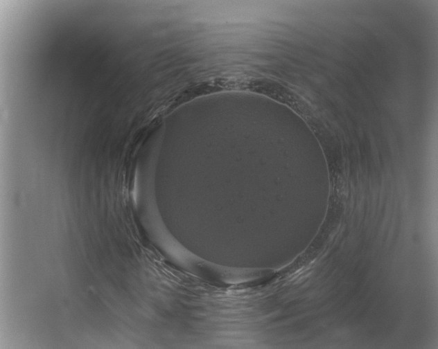 X0000068840818200605081237