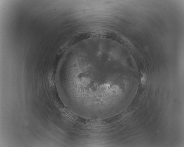 X0000068840819200605081237