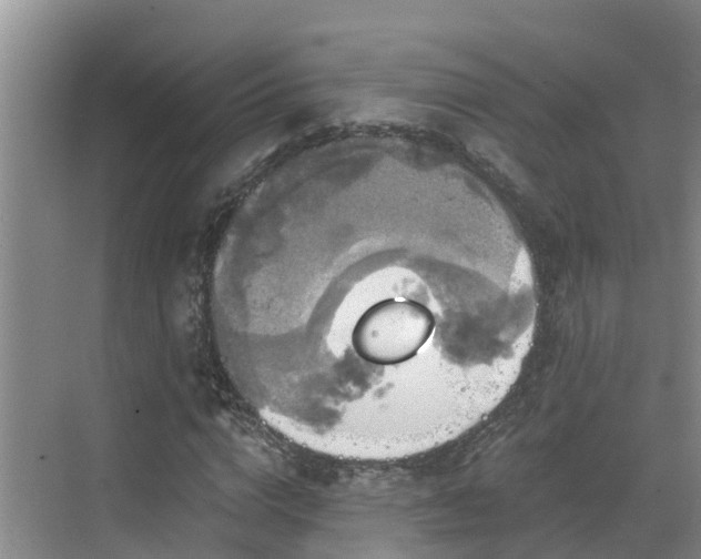 X0000068840824200605081237