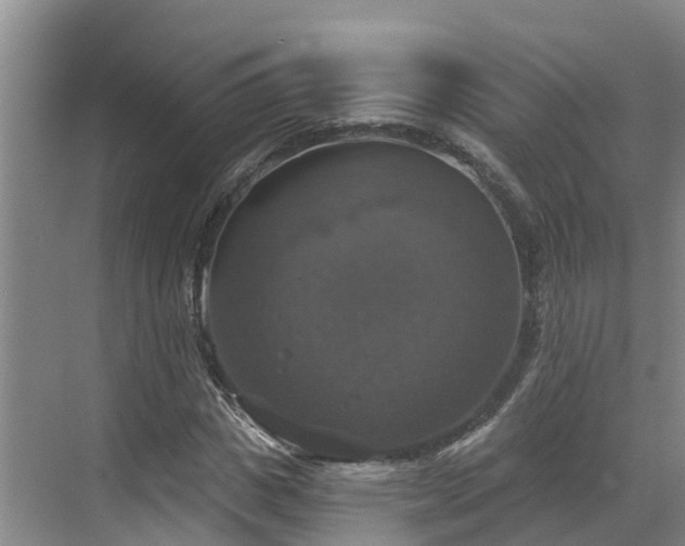 X0000068840825200605081237