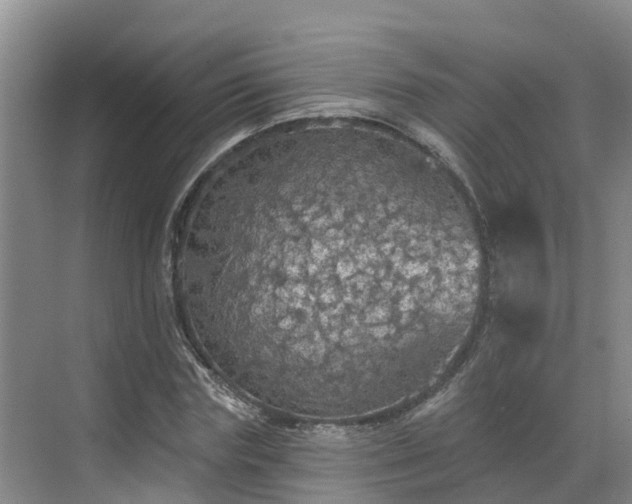 X0000068840827200605081237