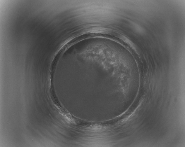 X0000068840829200605081237