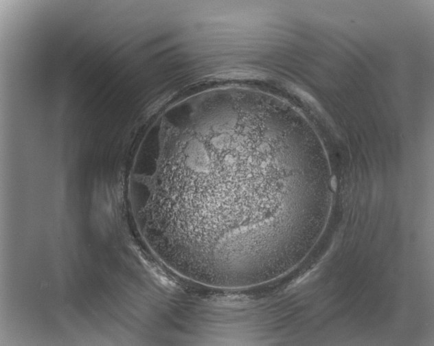 X0000068840833200605081237