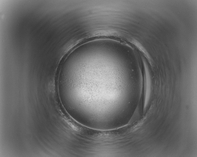 X0000068840834200605081237