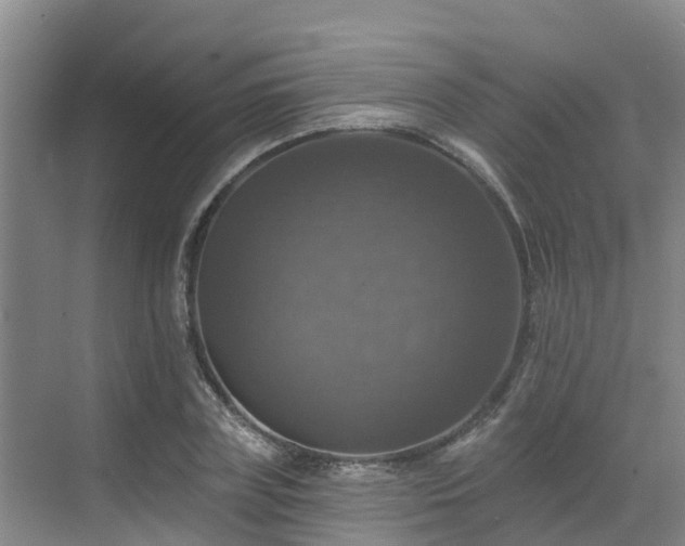 X0000068840835200605081237