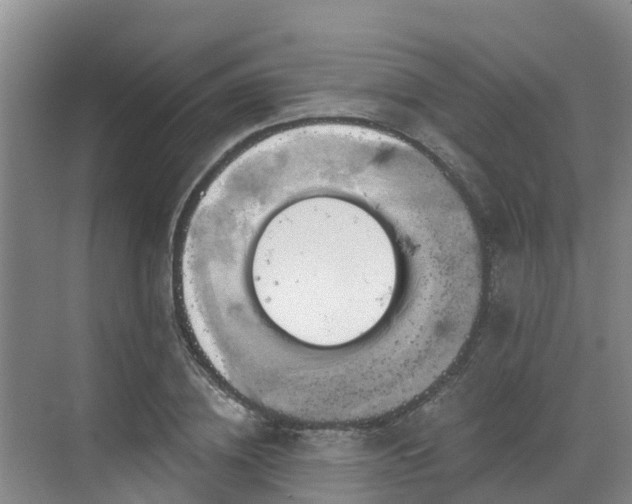 X0000068840836200605081237