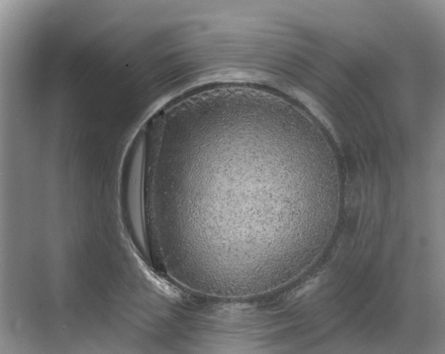 X0000068840837200605081237