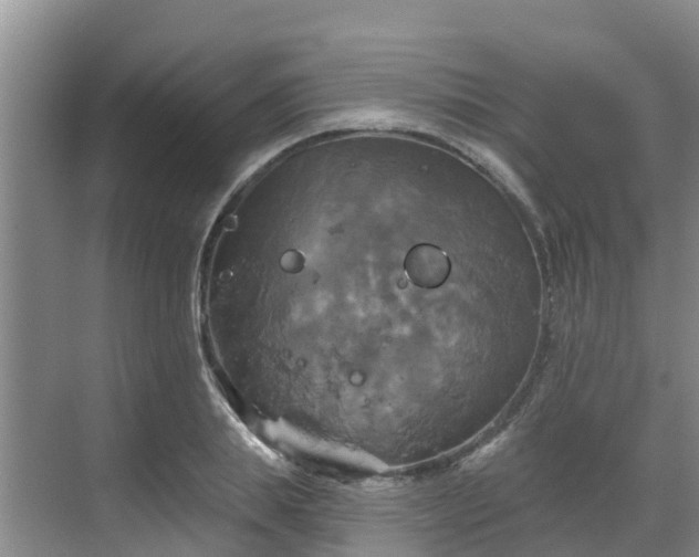 X0000068840839200605081237