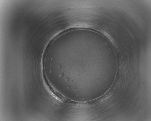 X0000068840840200605081237