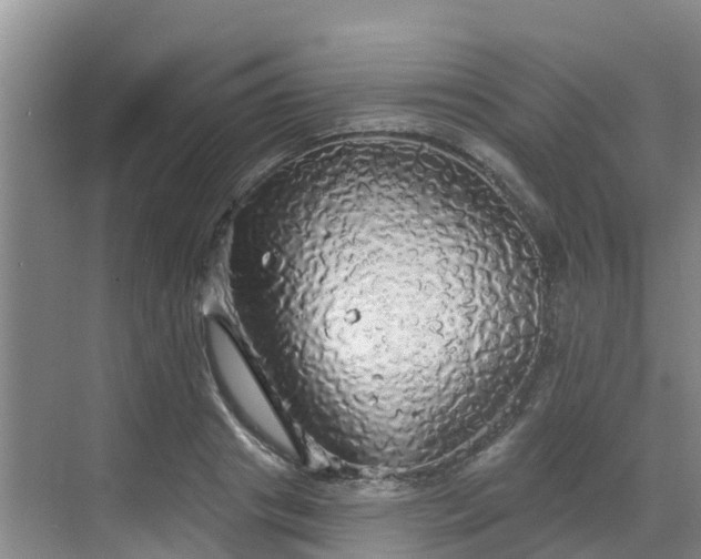 X0000068840841200605081237