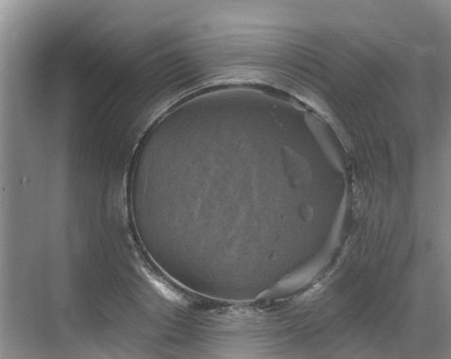 X0000068840842200605081237