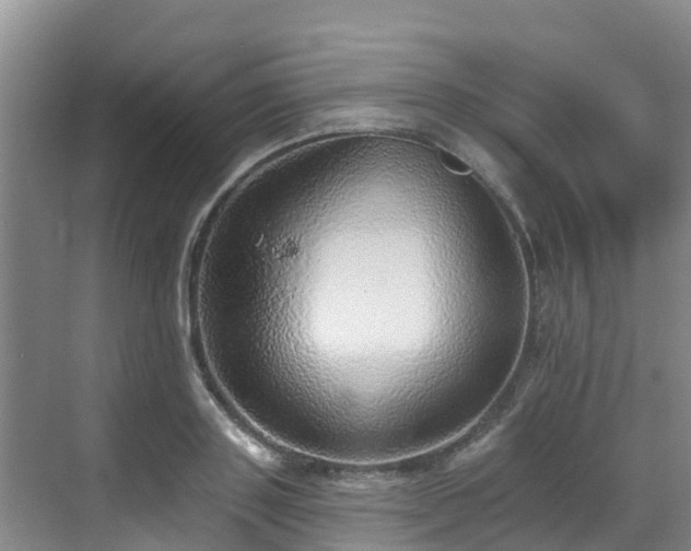 X0000068840843200605081237