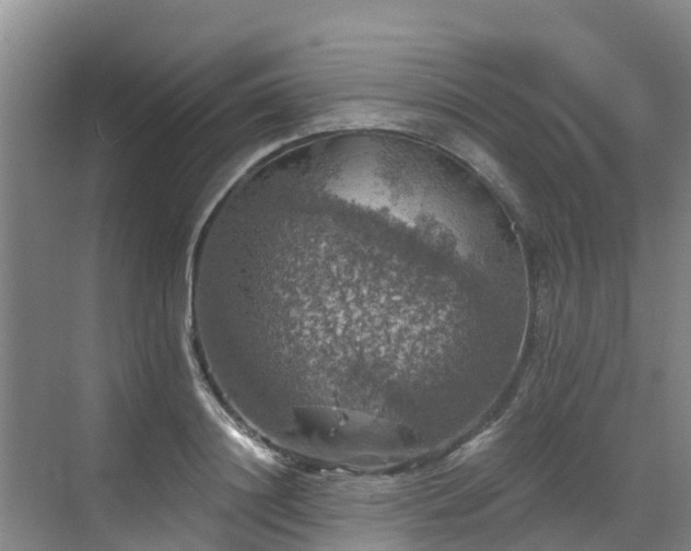 X0000068840844200605081237