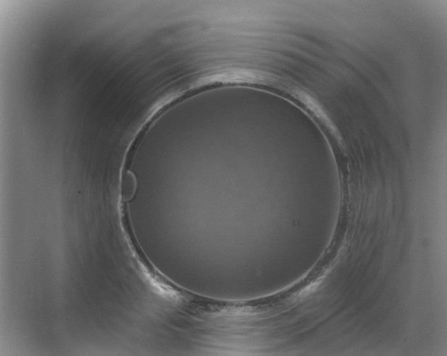 X0000068840845200605081237