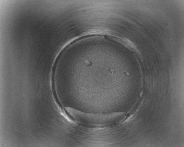 X0000068840846200605081237