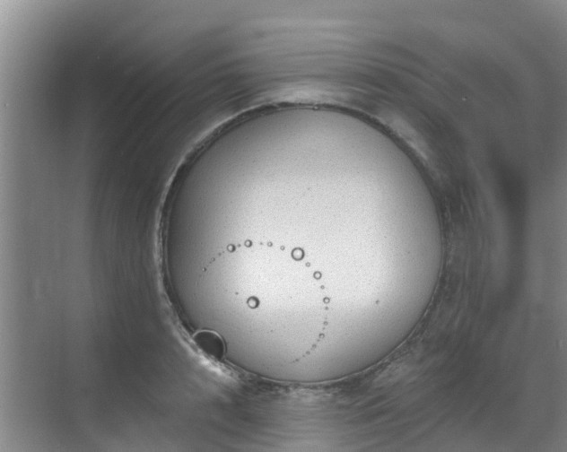 X0000068840848200605081237