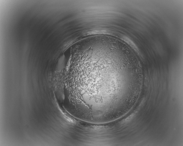 X0000068840849200605081237