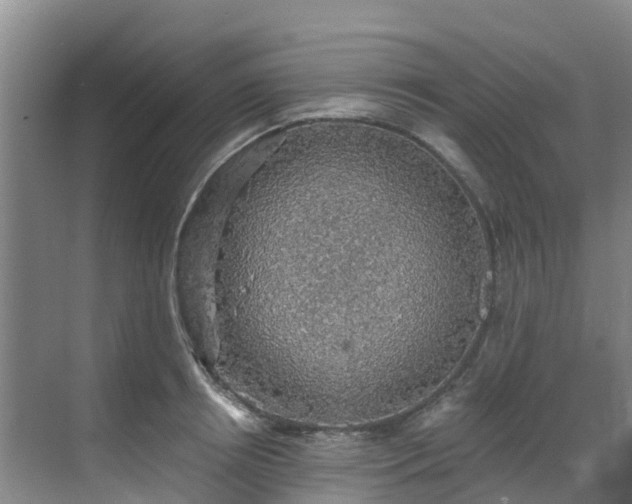 X0000068840850200605081237