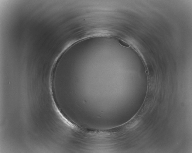 X0000068840851200605081237