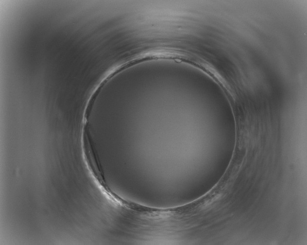 X0000068840853200605081237