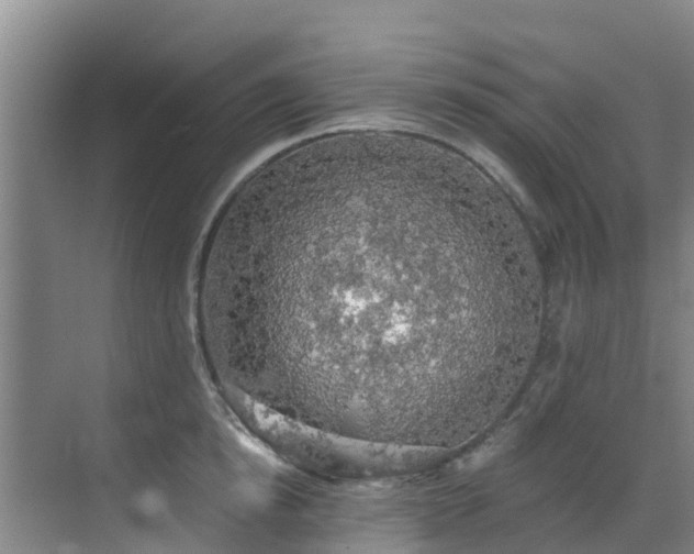 X0000068840854200605081237