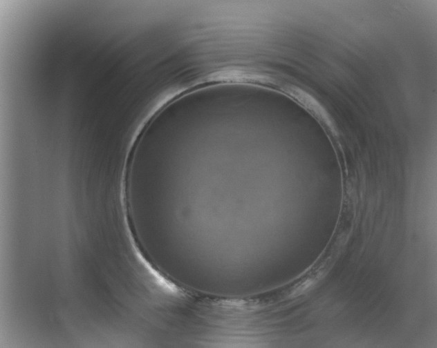 X0000068840855200605081237