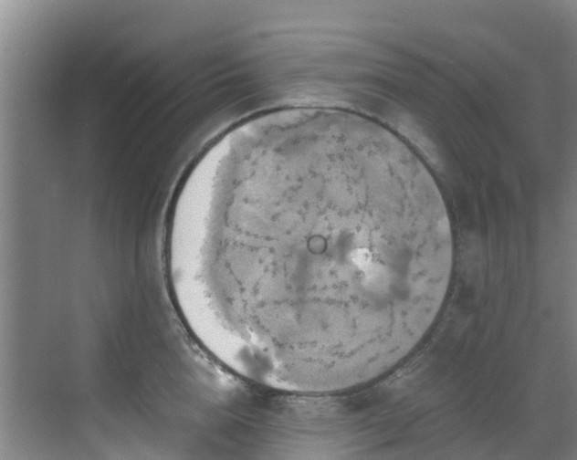 X0000068840856200605081237